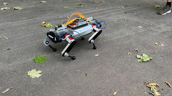 Выпущена Российская робота-собака второго поколения