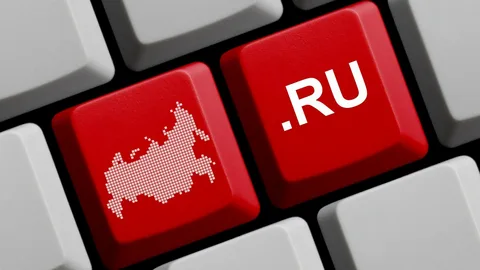Российский интернет защитят от атак запада и технических сбоев