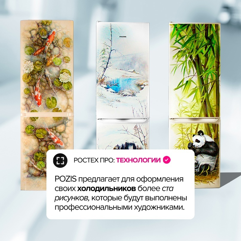 Холодильник POZIS как произведение искусства