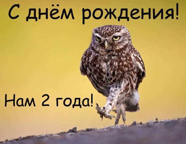 С Днём рождения, Smartsworld!