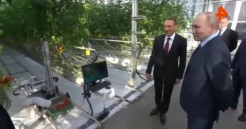 Путин, помидоры и робот