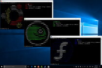 Linux | Windows